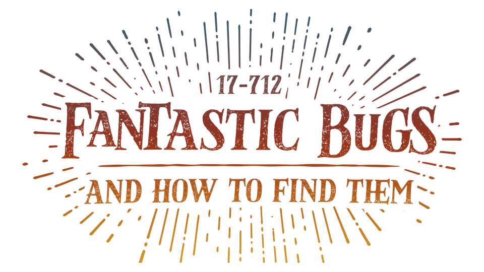 17-712 Fantastic Bugs and How to Find Them